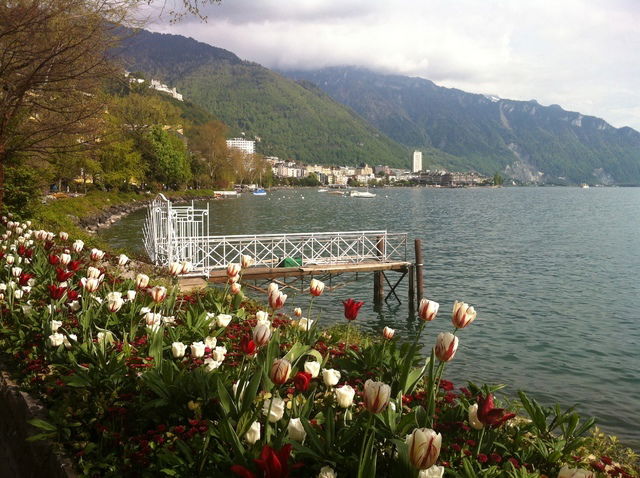 Hjemmeophold Montreux 49724