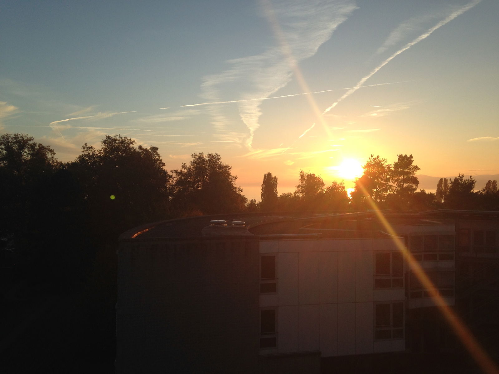 Colocation Lausanne 129884