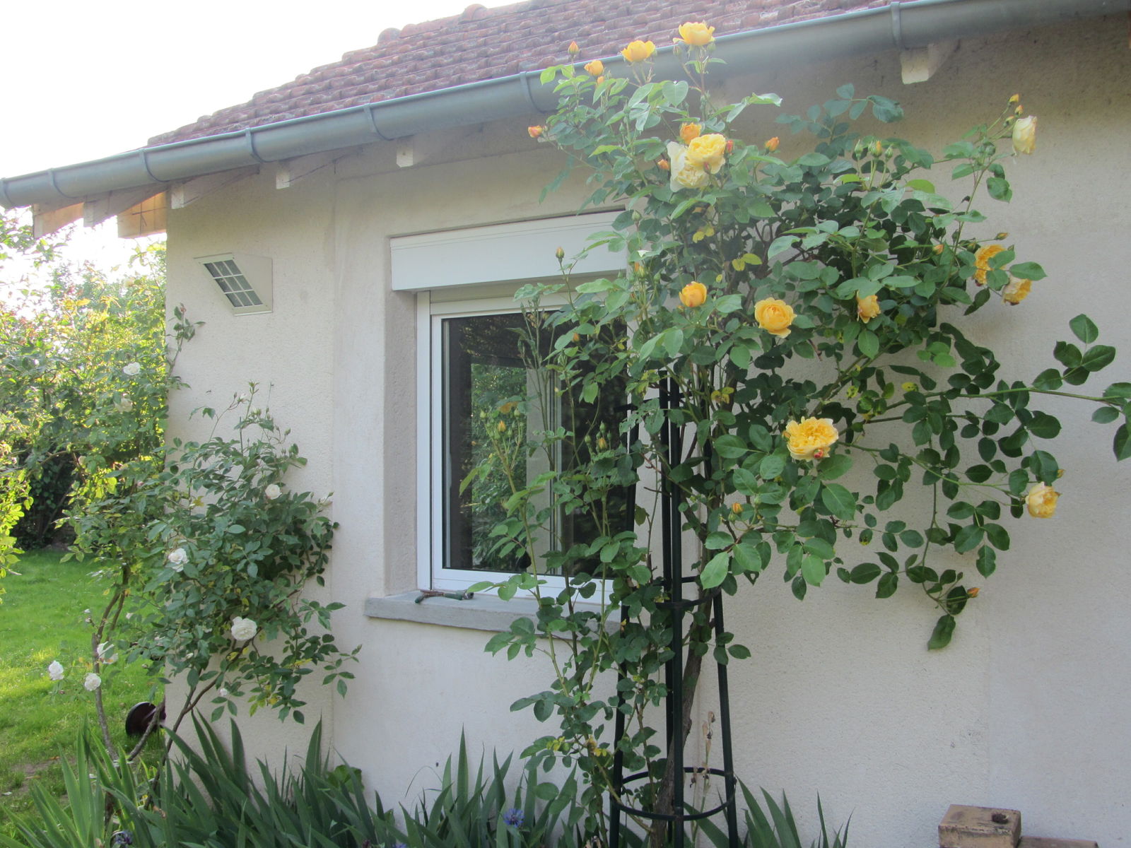 Hjemmeophold Dammarie-les-Lys 54022