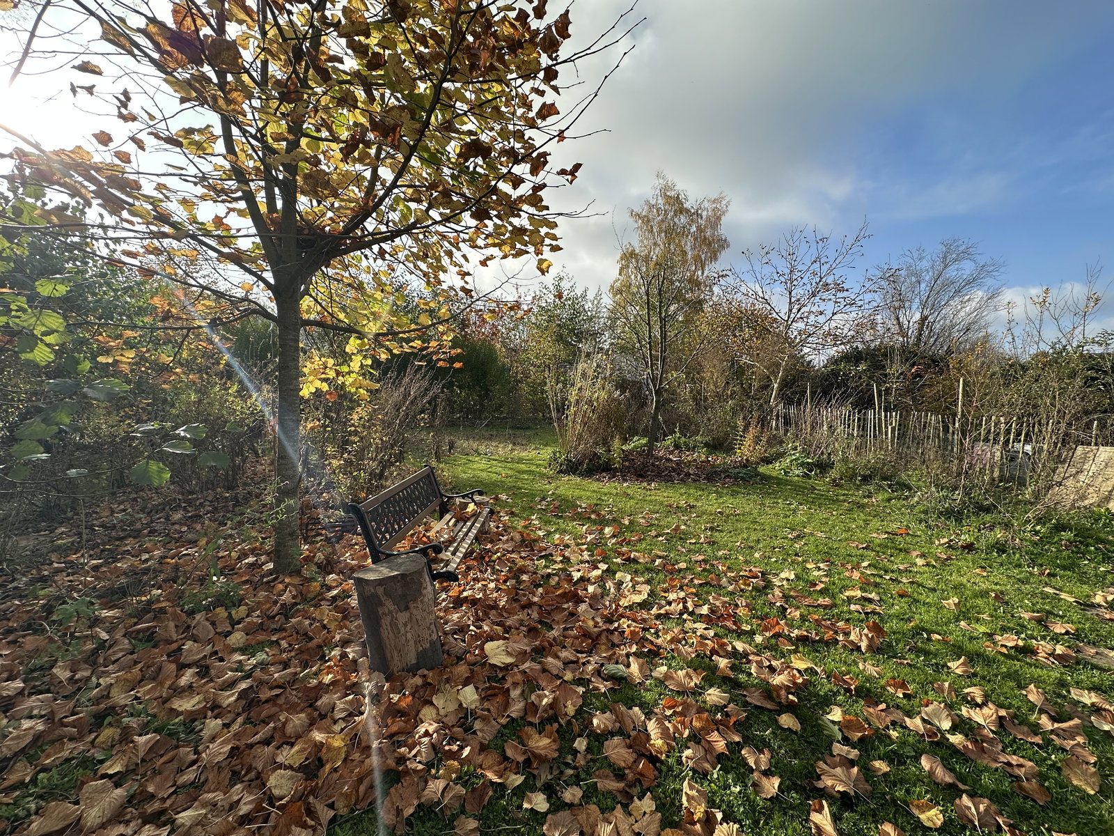 Hjemmeophold Wavre 656969