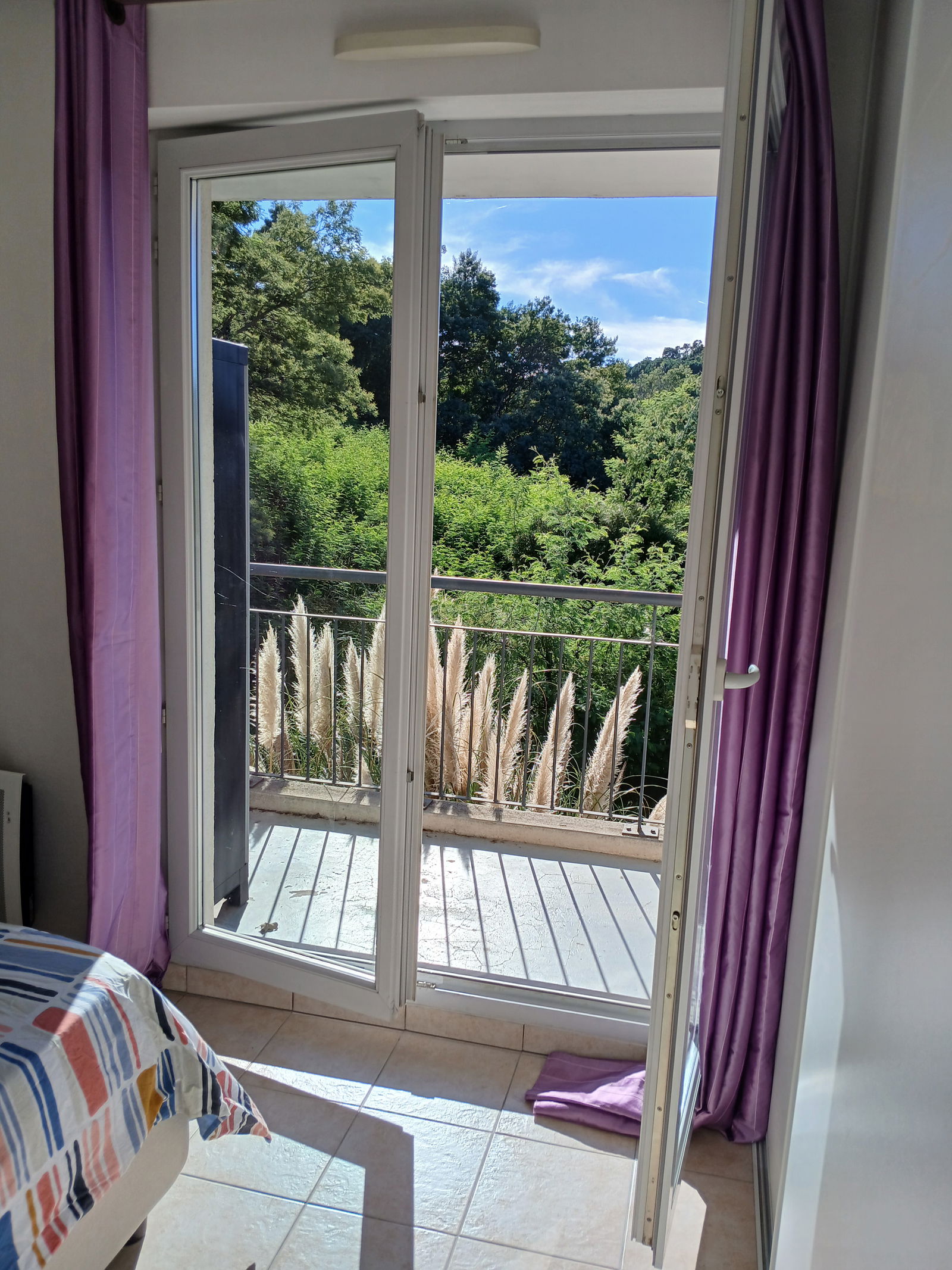 Colocation Cannes 452479