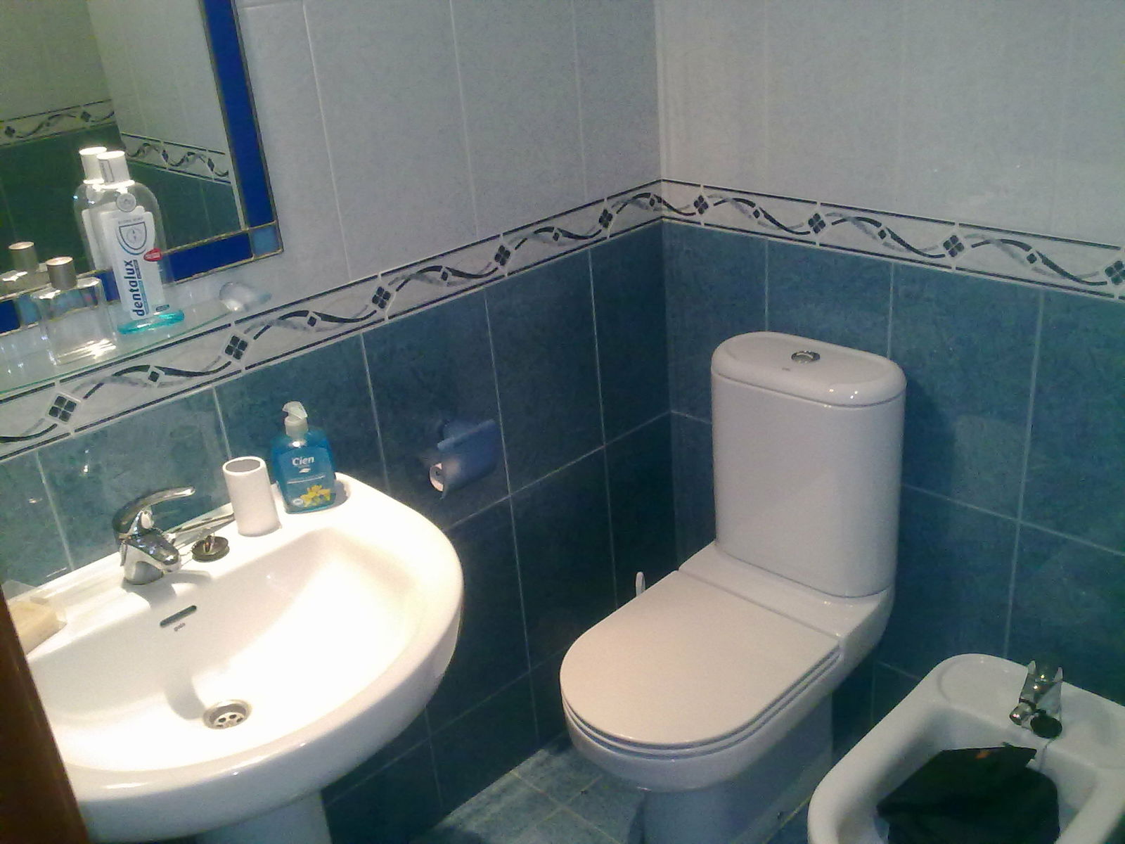 Colocation Gijón 154005