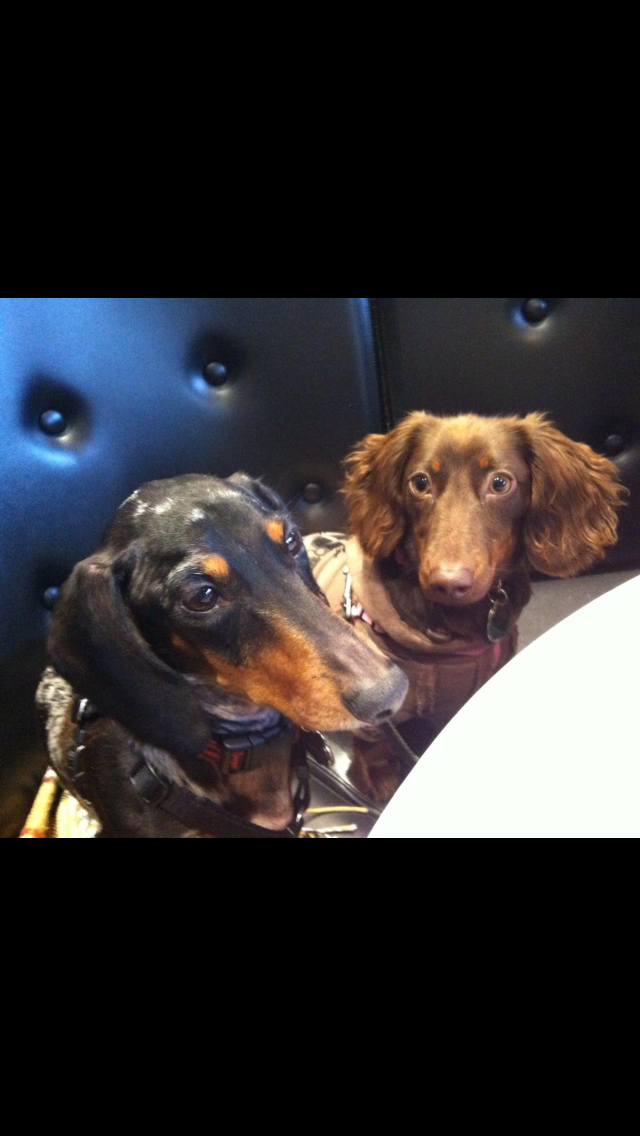 Hjemmeophold Montréal 73530