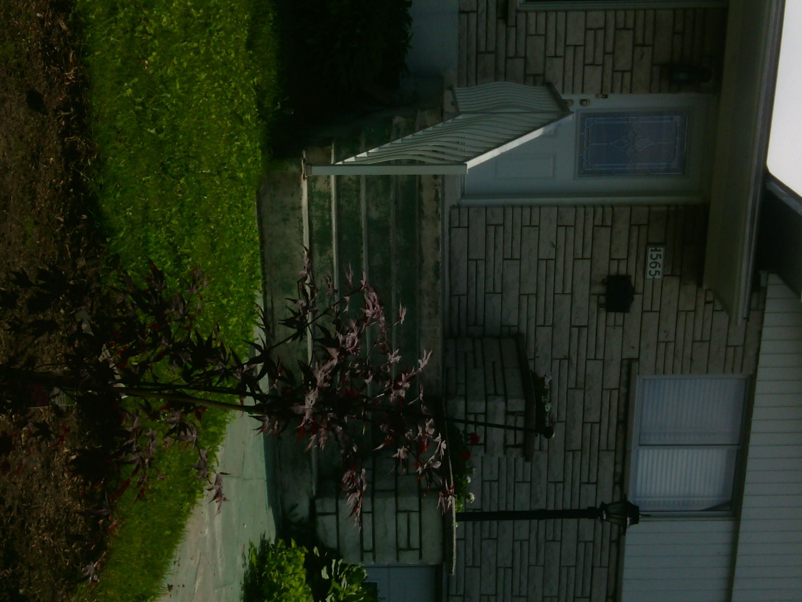 Colocation Latrobe 79736