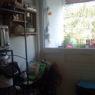 Colocation Genève 466131