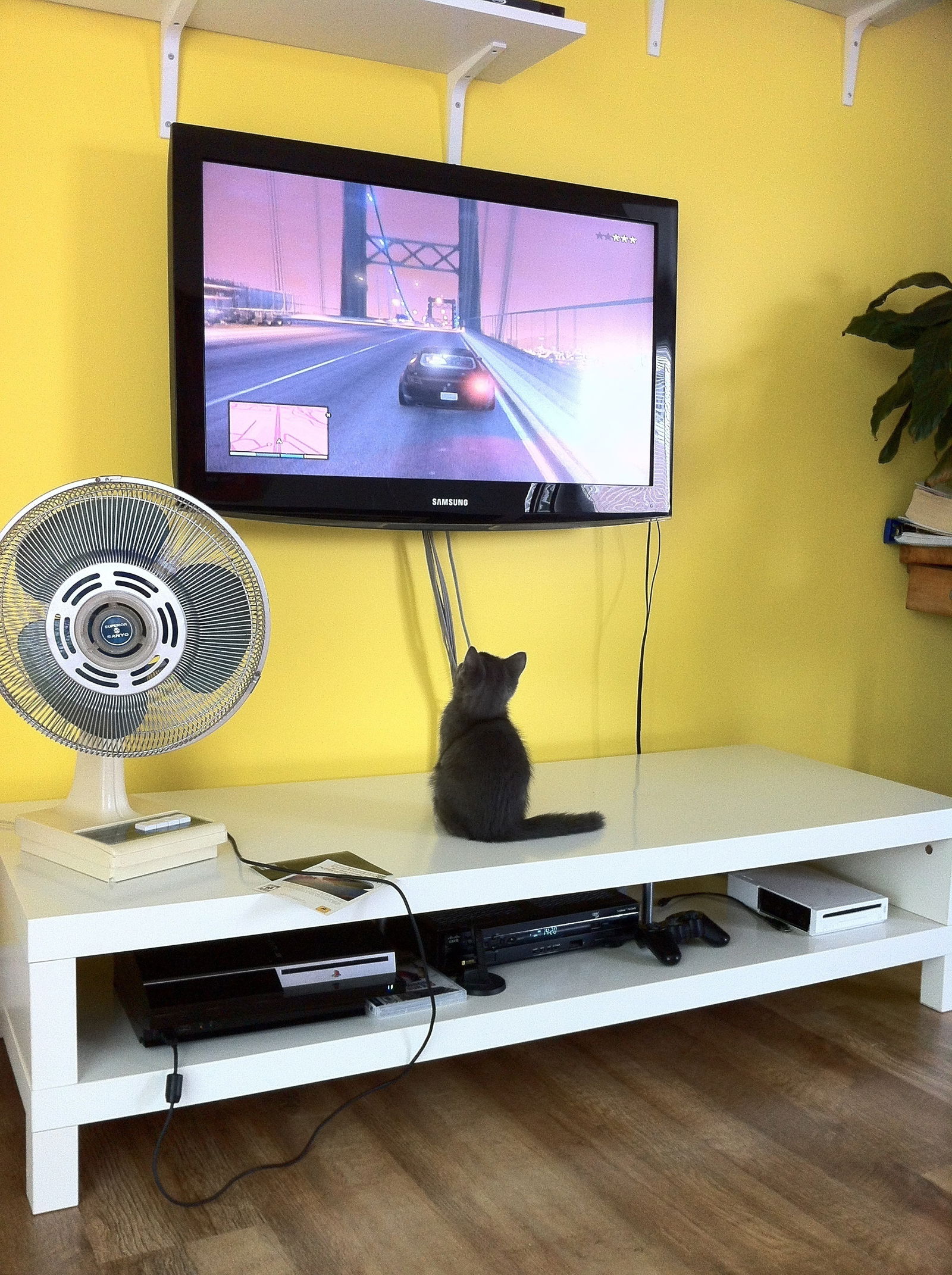 Colocation Sainte-Thérèse 66141