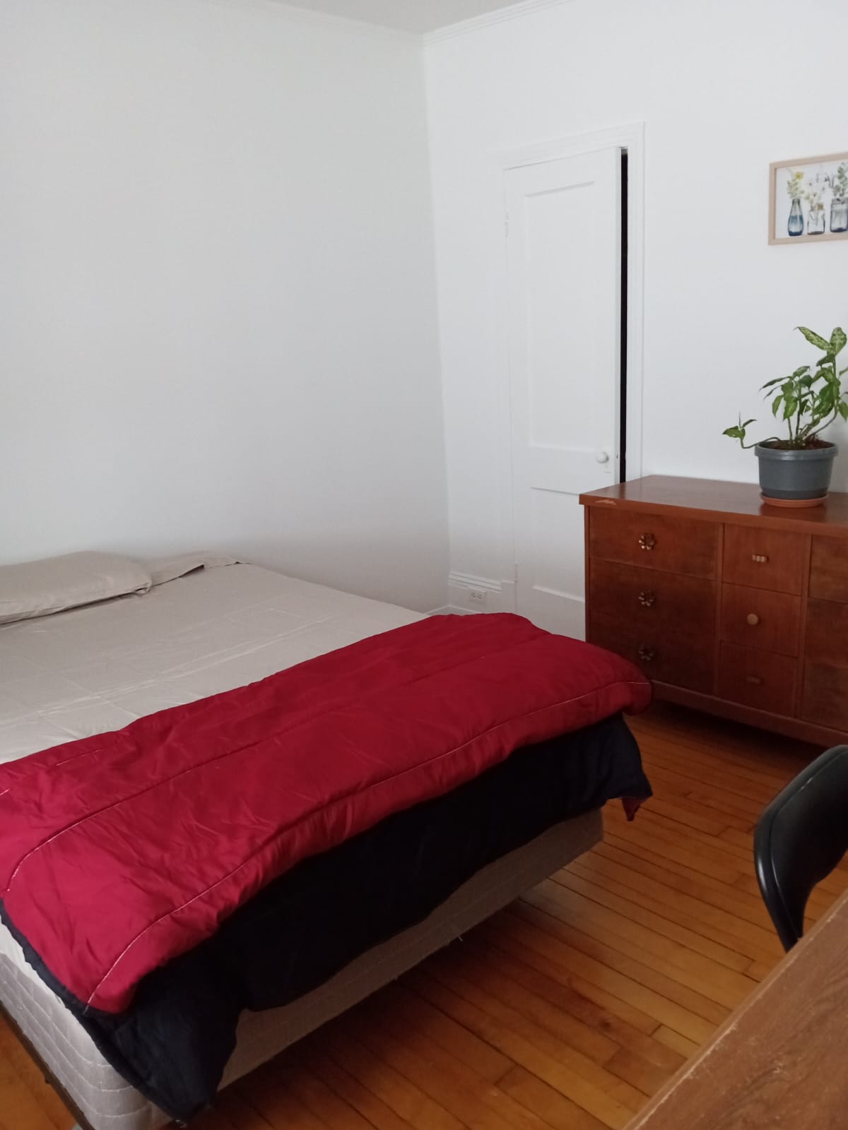 Colocation Sherbrooke 458472