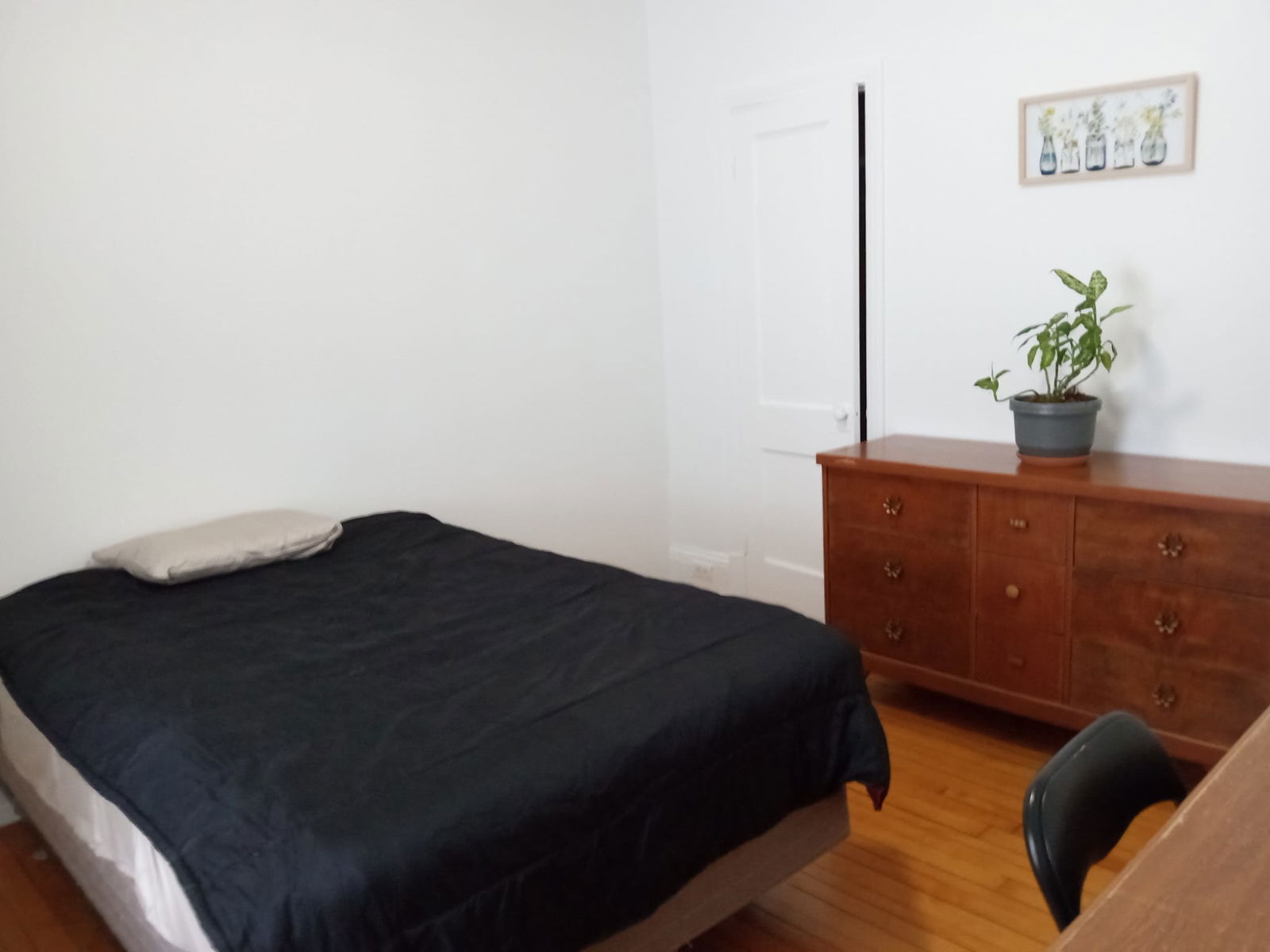 Colocation Sherbrooke 458472