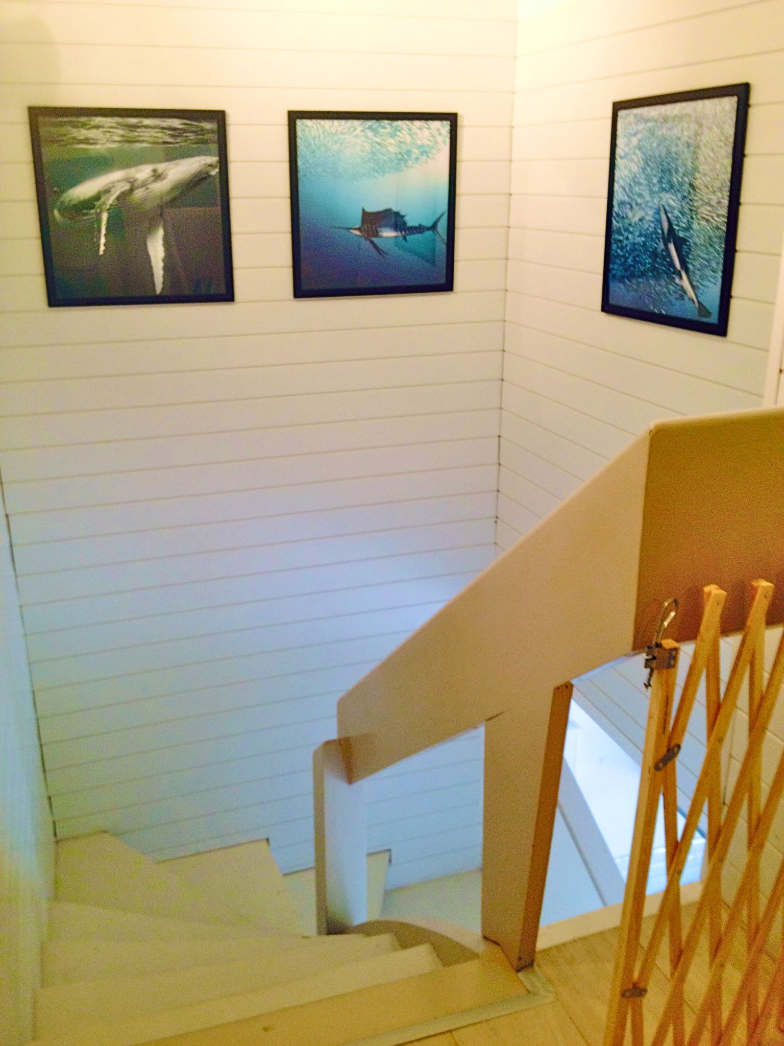 Colocation Carqueiranne 98233