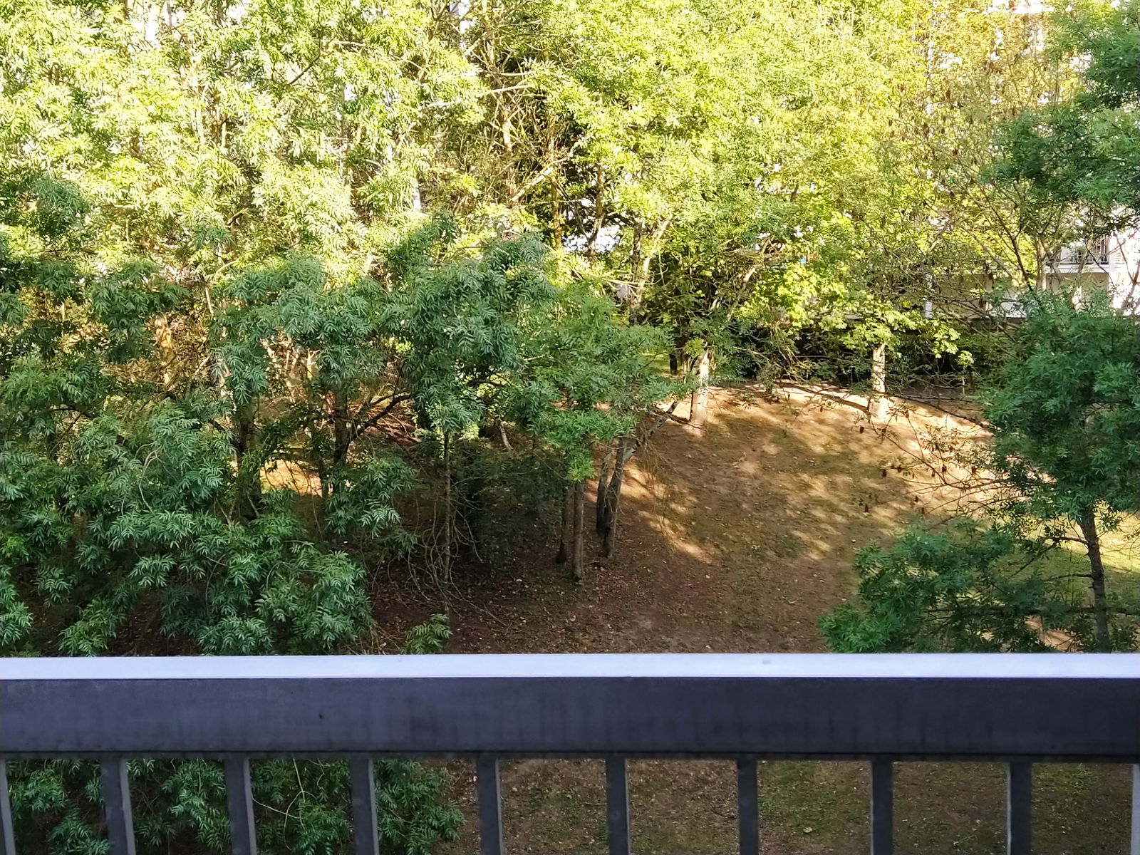 Colocation Cergy 241919