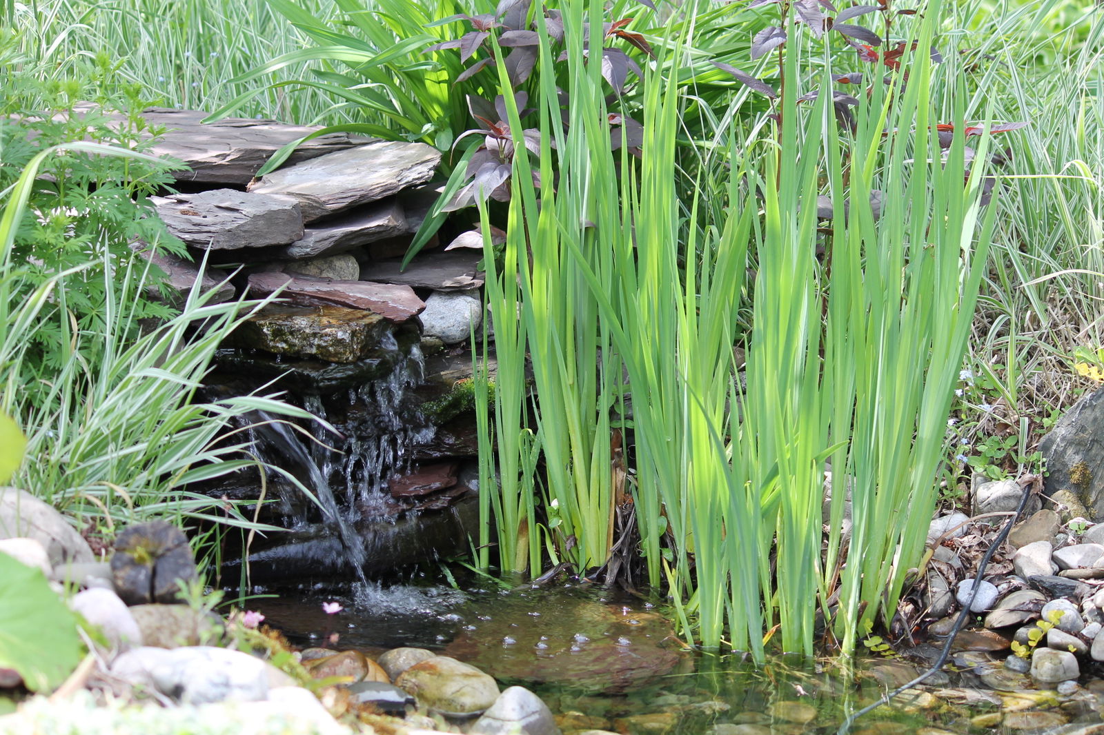 Hjemmeophold Matane 36540