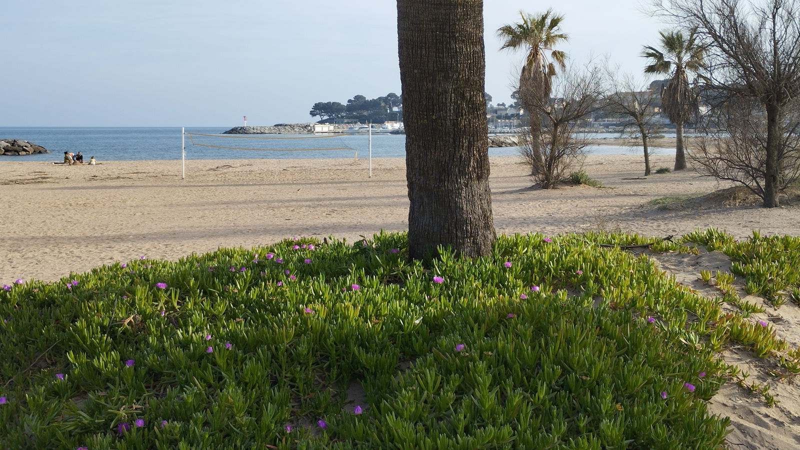 Homestay Fréjus 384228