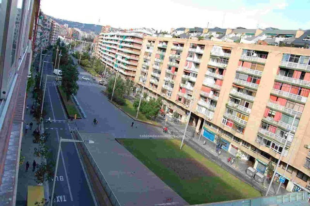 Ganz Haus Barcelona 27510