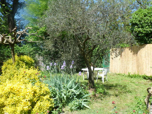 Onofhängeg Studio Saint-Rémy-de-Provence 55821