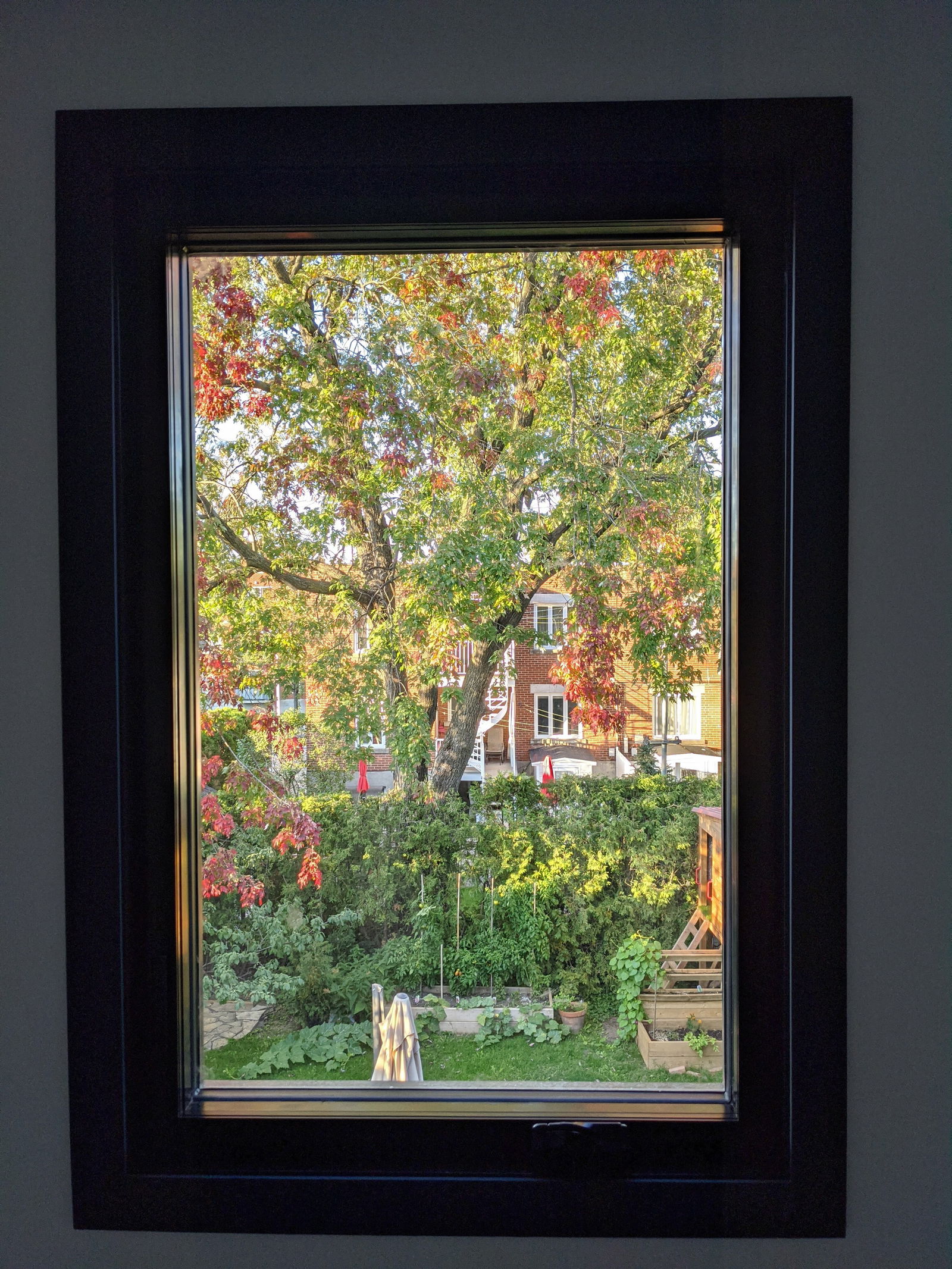 Järjestäminen Montréal 242013