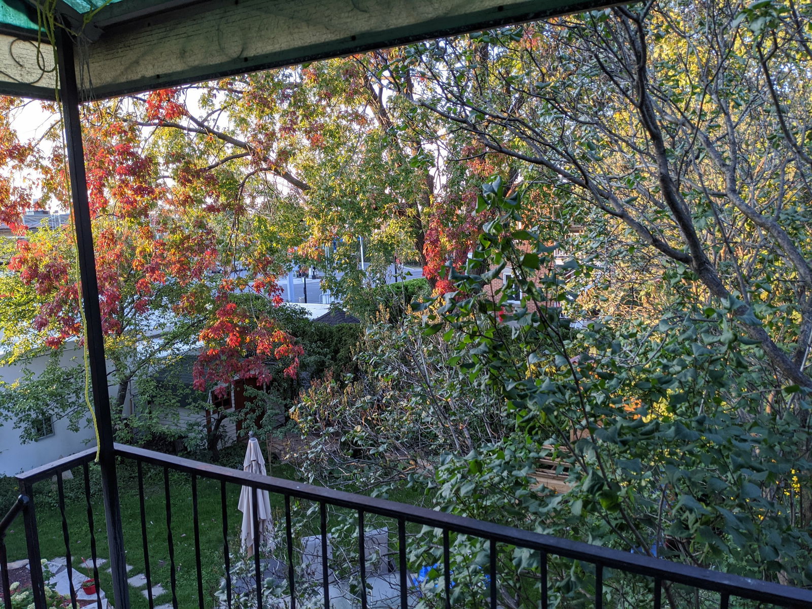 Järjestäminen Montréal 242013
