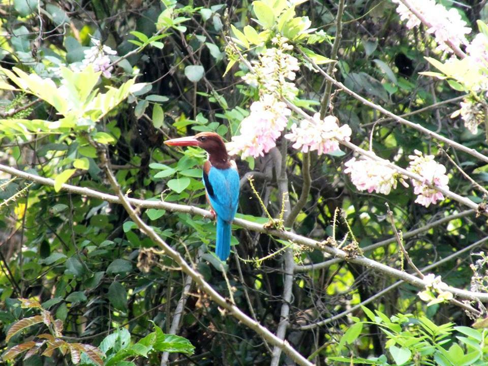 Famiglia Varca 215091