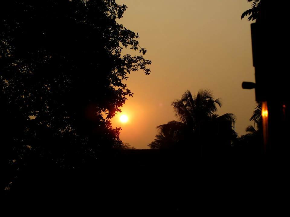 Famiglia Varca 215091