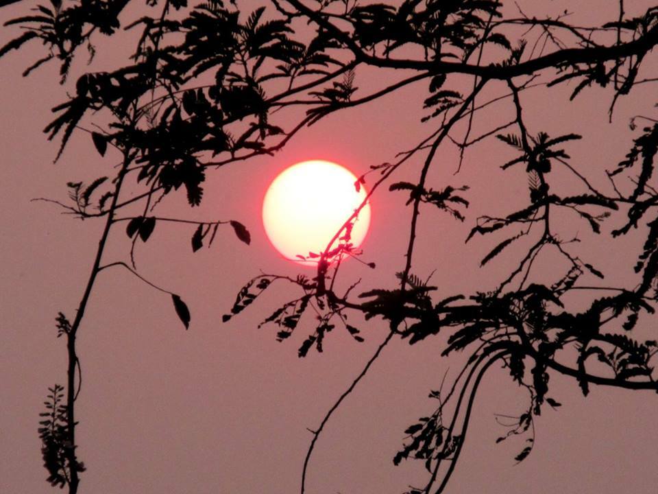 Quedarse En Casa Varca 215091