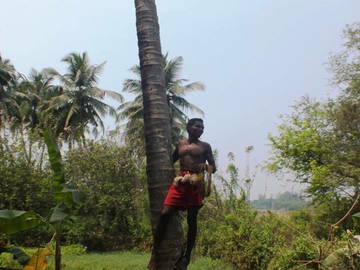 Chambre Chez L'habitant Varca 215091-8