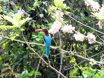 Chambre Chez L'habitant Varca 215087-8