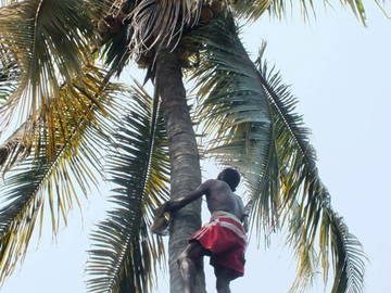 Chambre Chez L'habitant Varca 215087-9