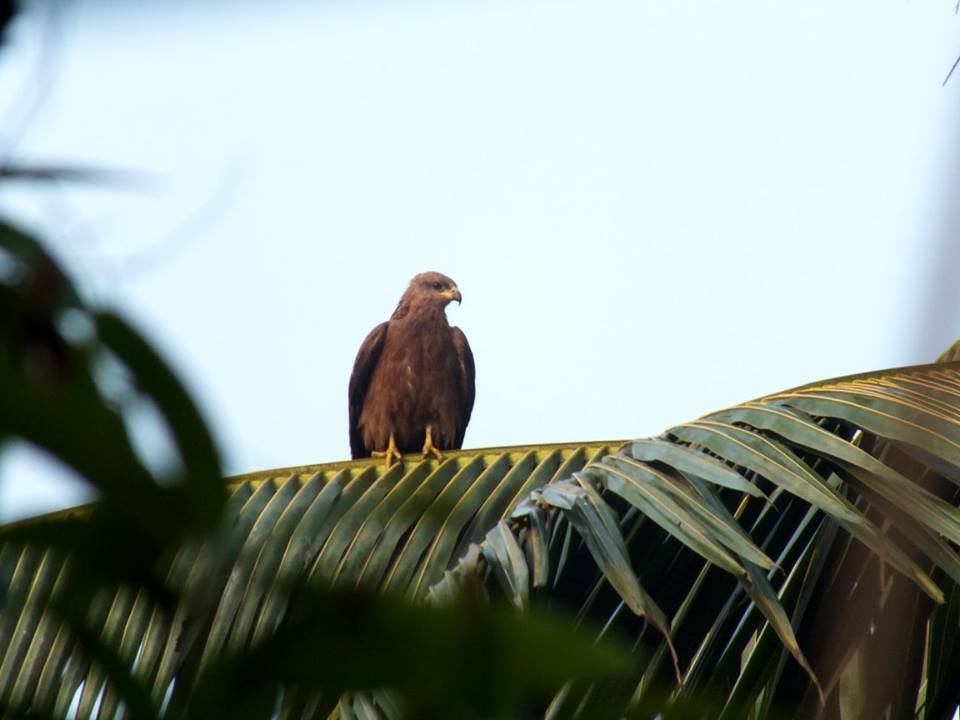 Gastfamilie Varca 215087