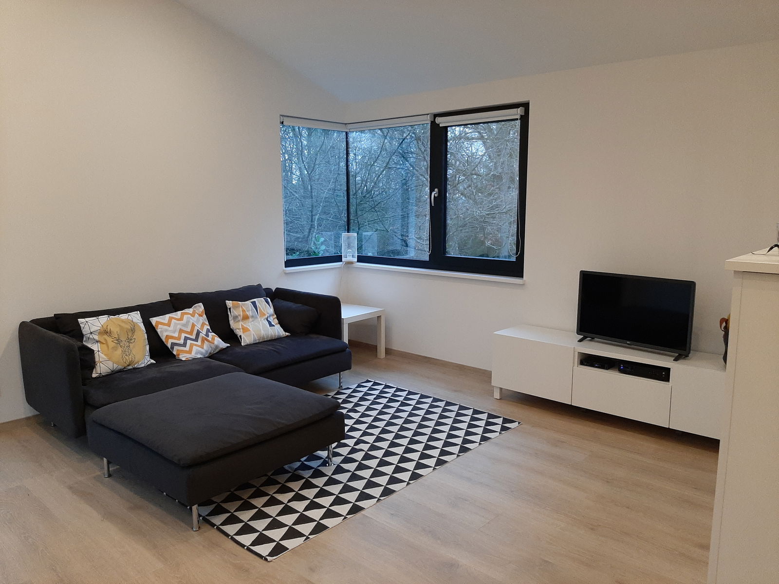 Itsenäinen Studio Liège 231968