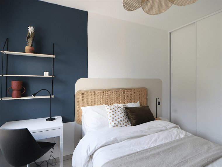 Chambre À Louer Villeurbanne 261591