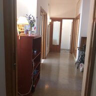 Kolokation Roma 537197