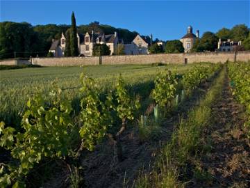 Habitación En Alquiler Chinon 138272-1