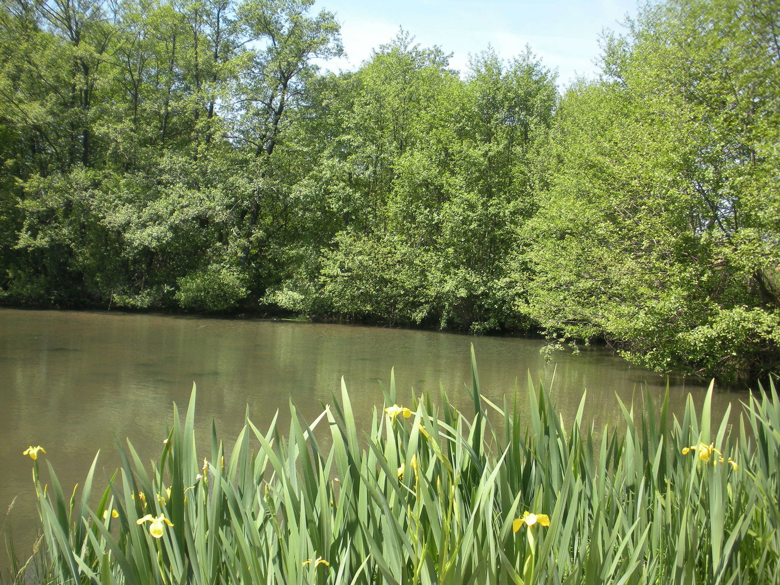 Tutta La Casa Saint-Bômer-les-Forges 121459