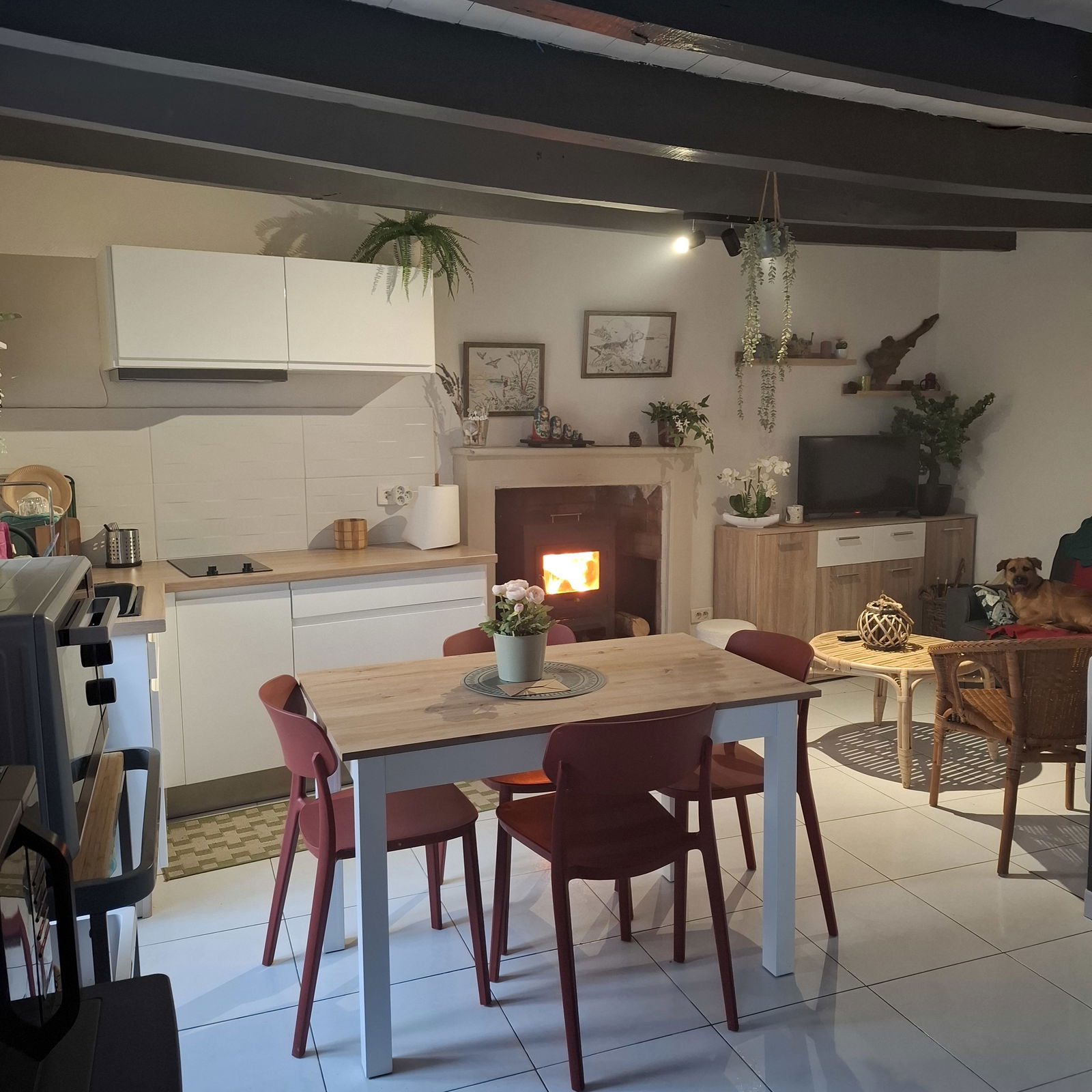 Oberoende Studio Baud 502637