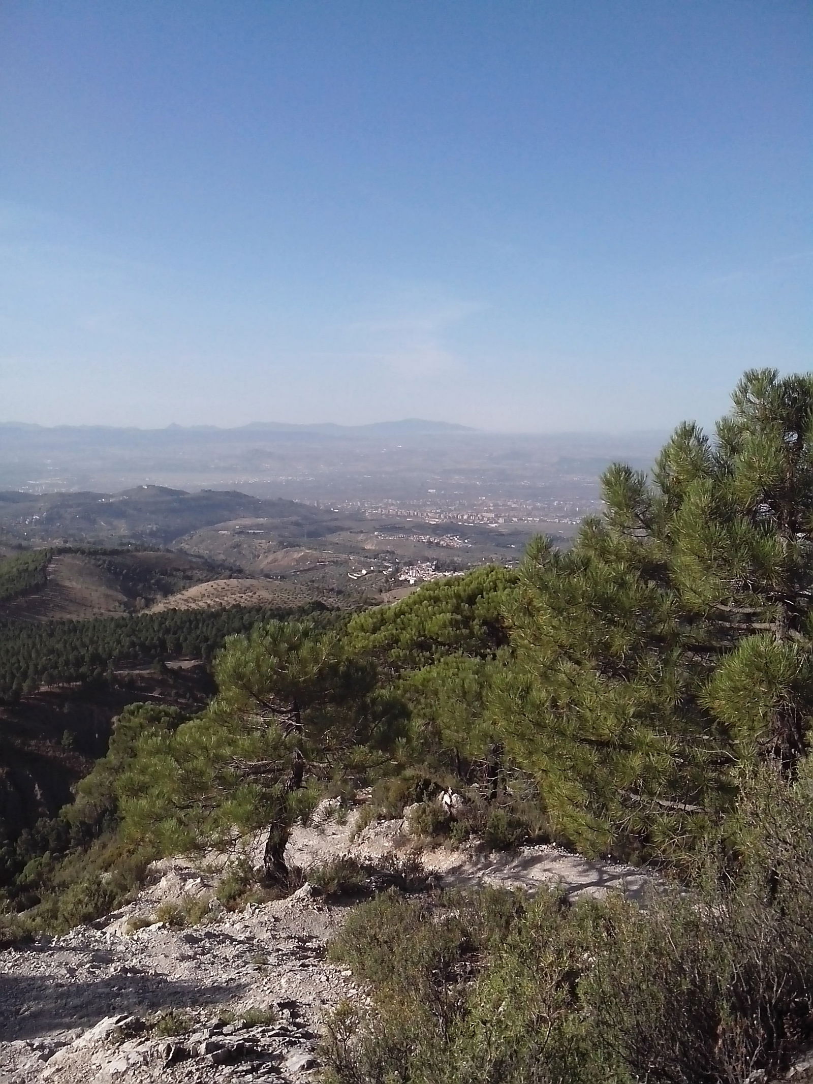 Homestay Cijuela 63527