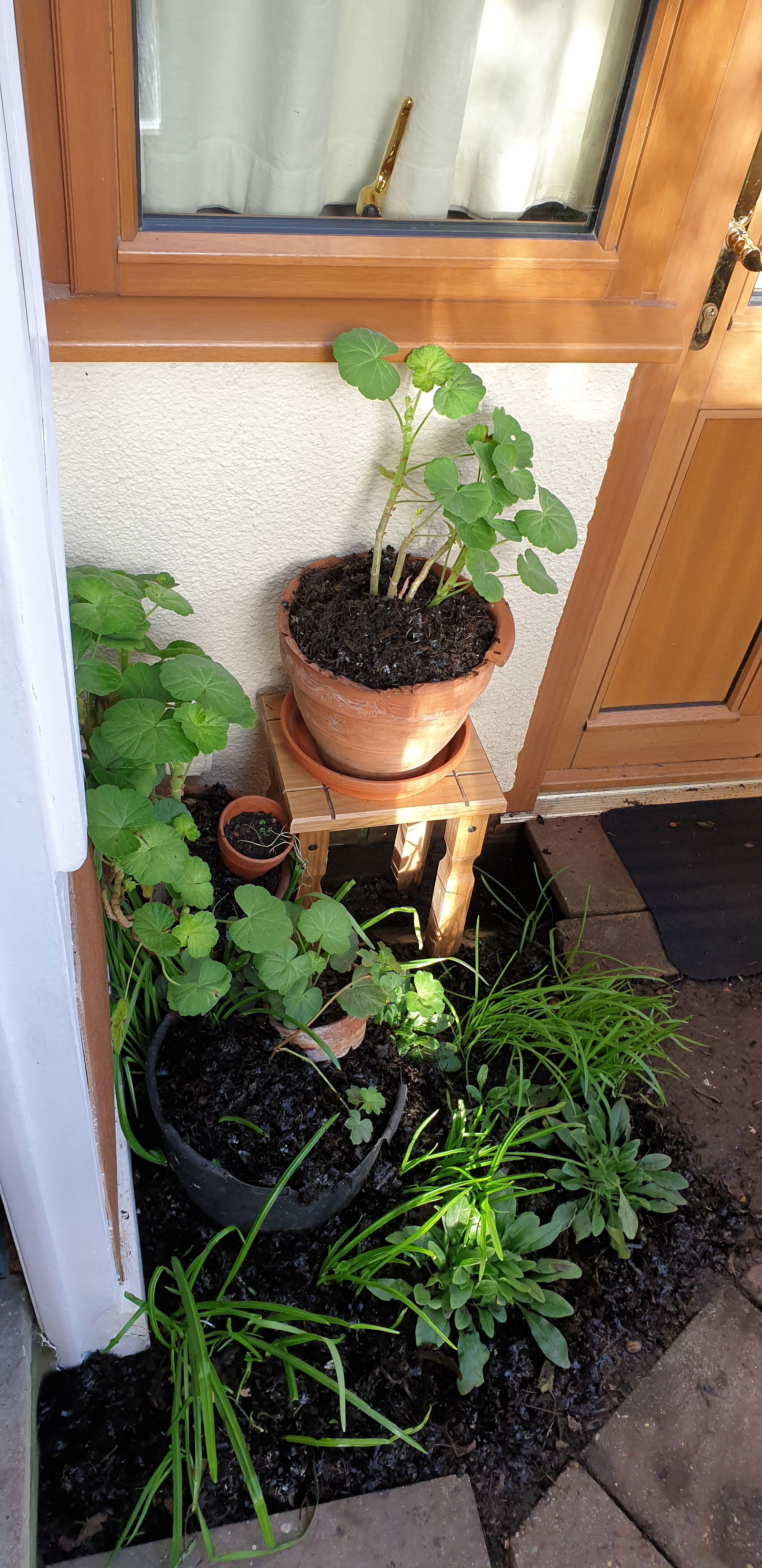 Hjemmeophold Ryde 246373