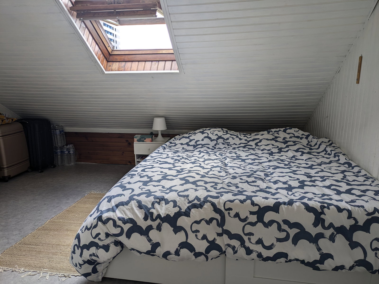 Colocation Thionville 245031