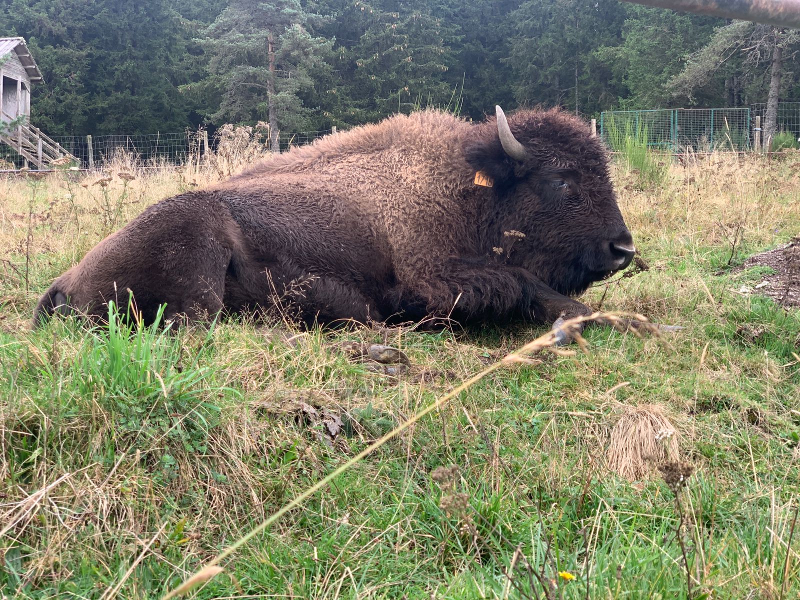 Toda La Casa Monts-de-Randon 363147