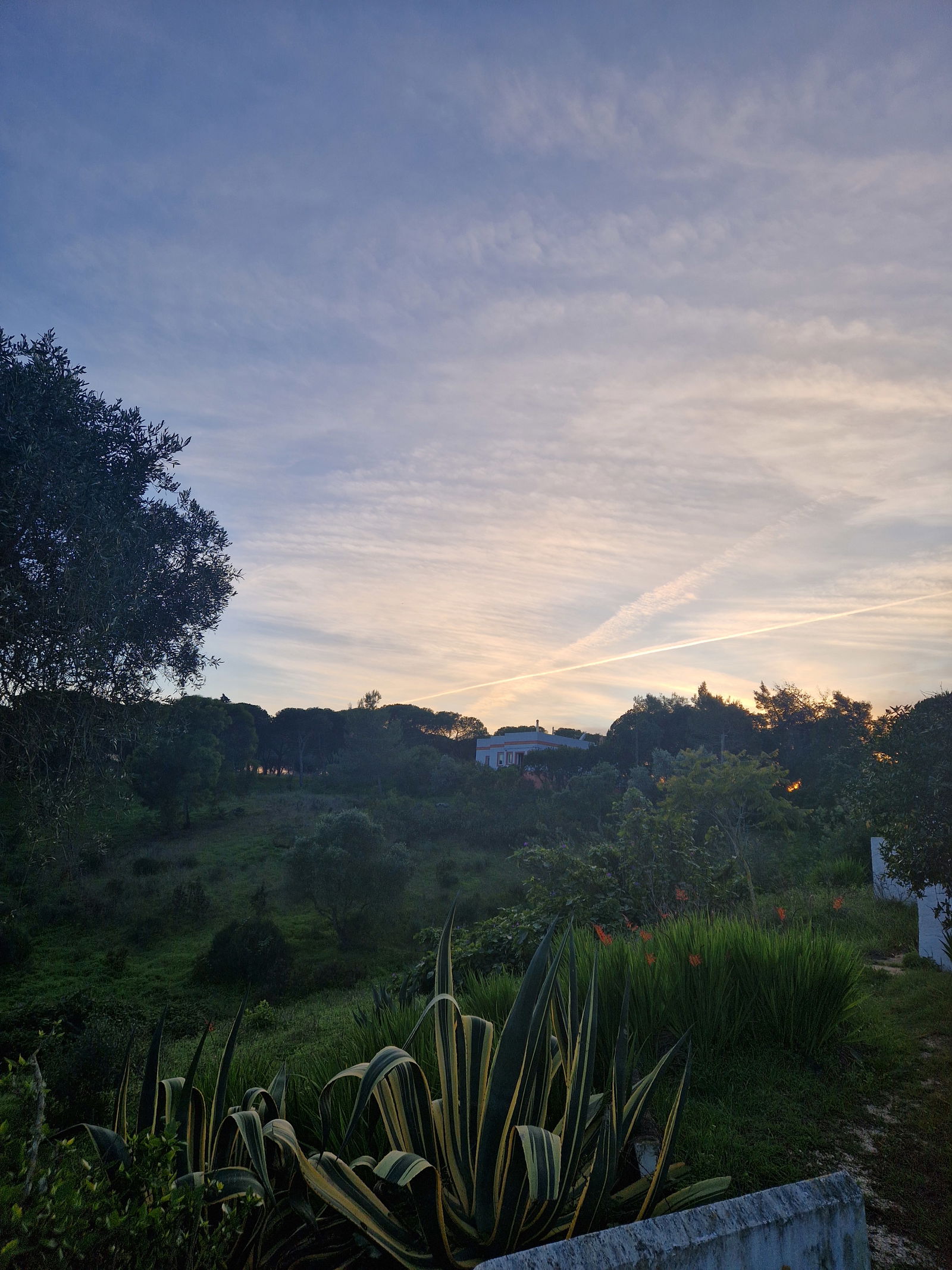 Coliving Barão de São João 538328