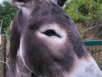 Logement Entier Monts-De-Randon 363147-17