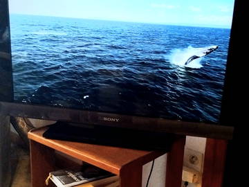 Logement Entier Monts-De-Randon 363147-13