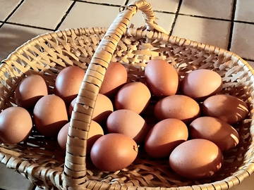 Logement Entier Monts-De-Randon 363147-20