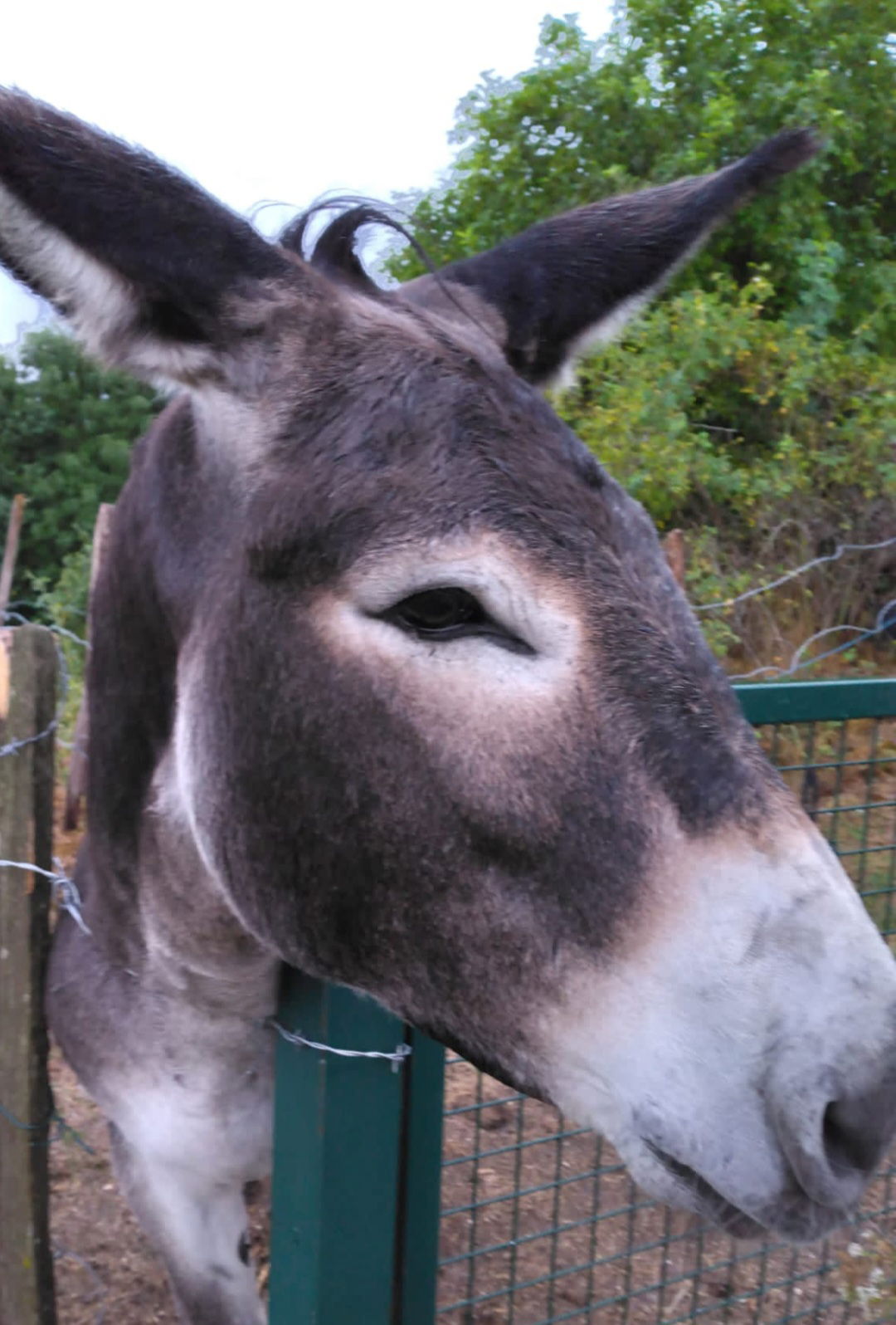 Casa Inteira Monts-de-Randon 363147