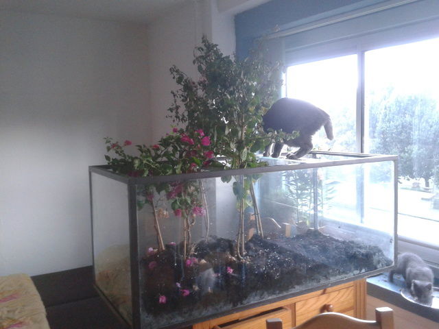 Gæsteværelser Rouen 43481