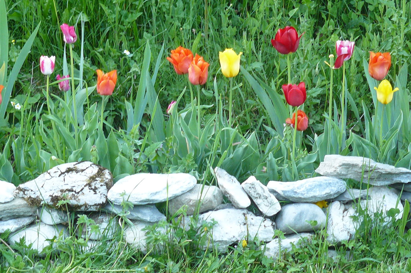 Hjemmeophold Autrans 59821