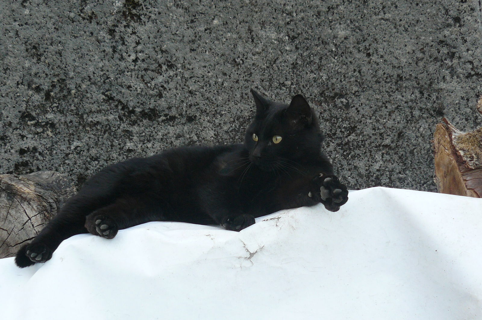 Hjemmeophold Autrans 59821