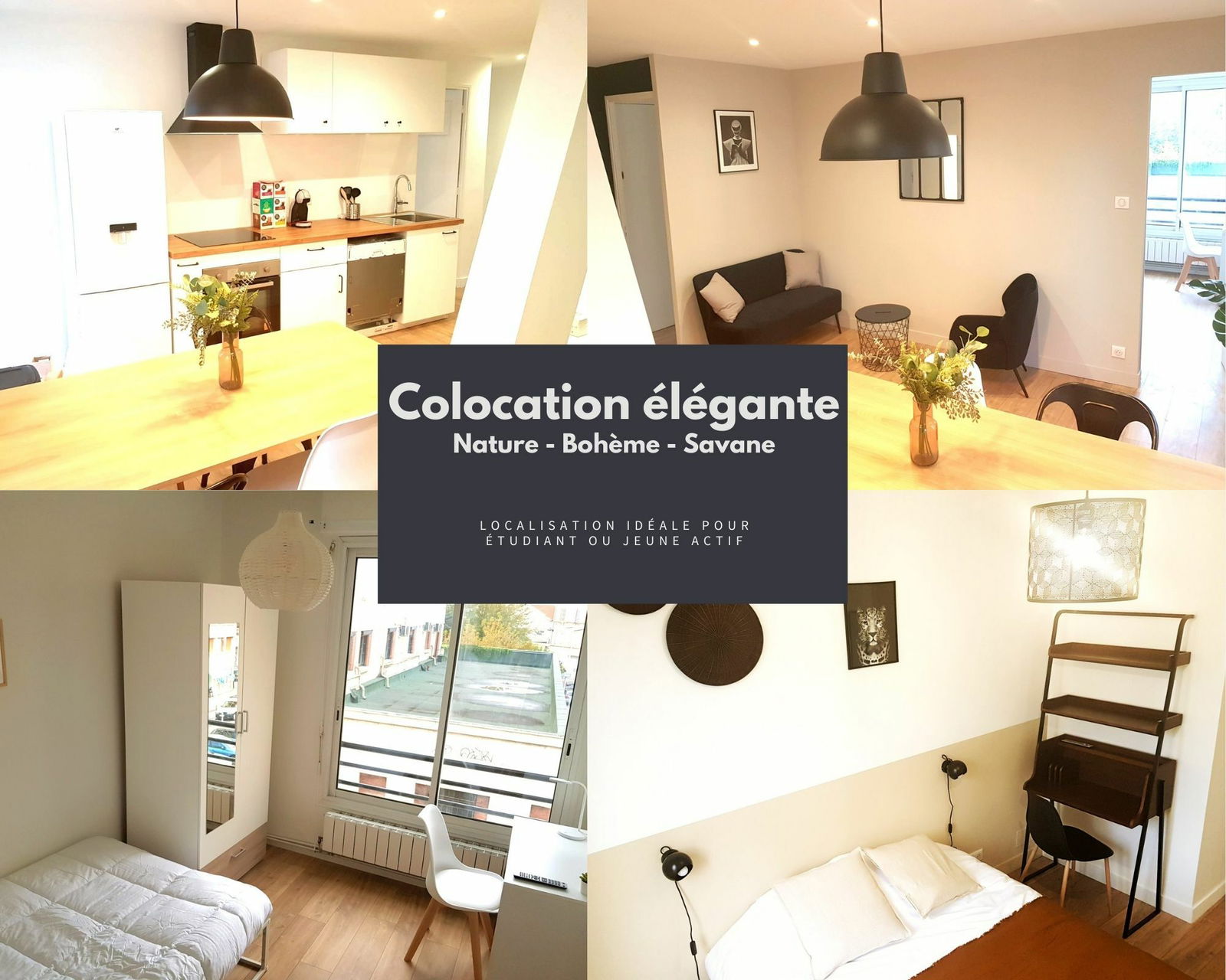 Colocatie Marseille 242255