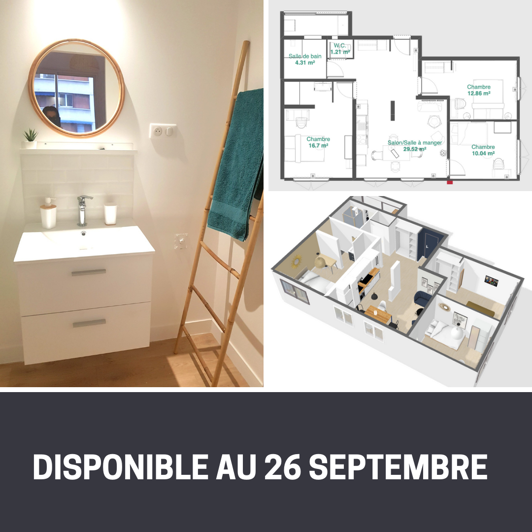 Colocatie Marseille 242255