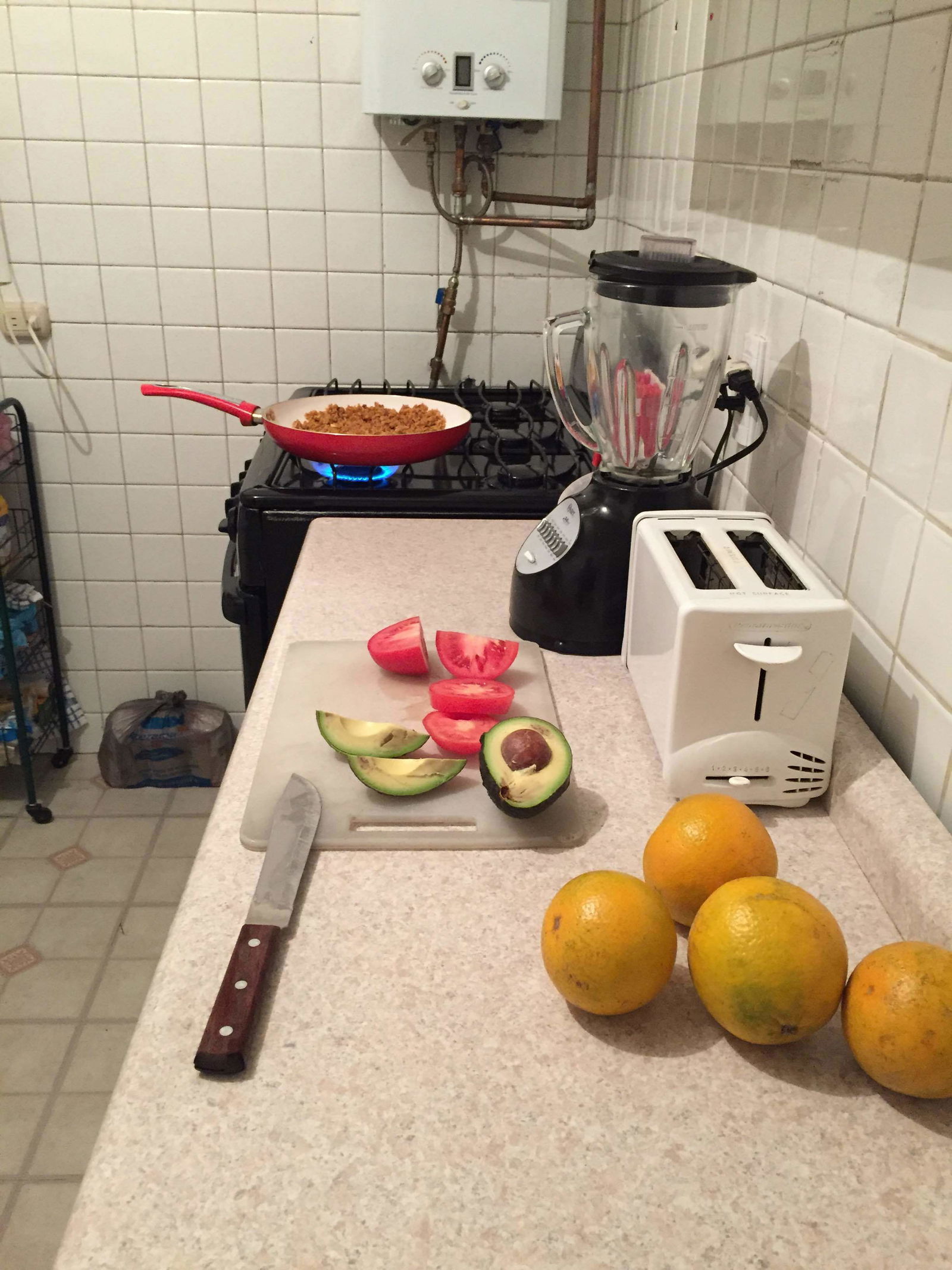 Gastfamilie México D.F. 213187