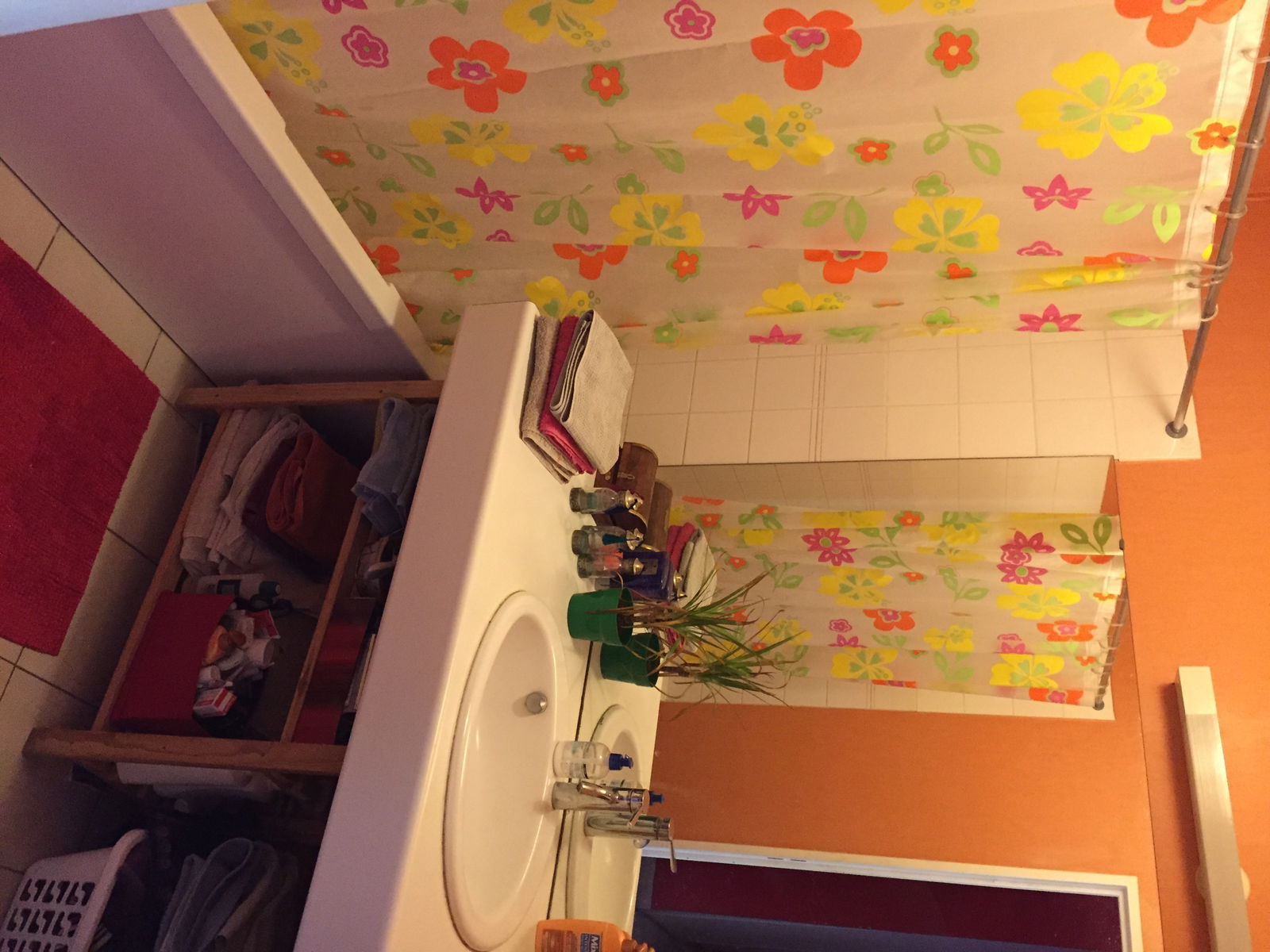 Gastgezin Montpellier 113704