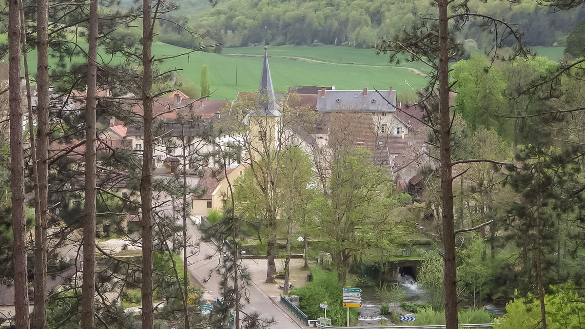 Unabhängiges Studio Moloy 32244